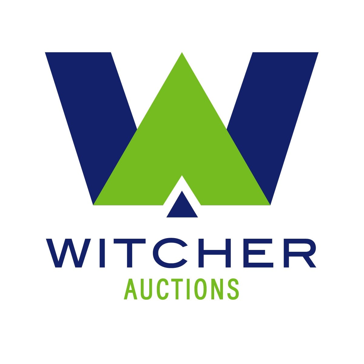 Witcher autions logo